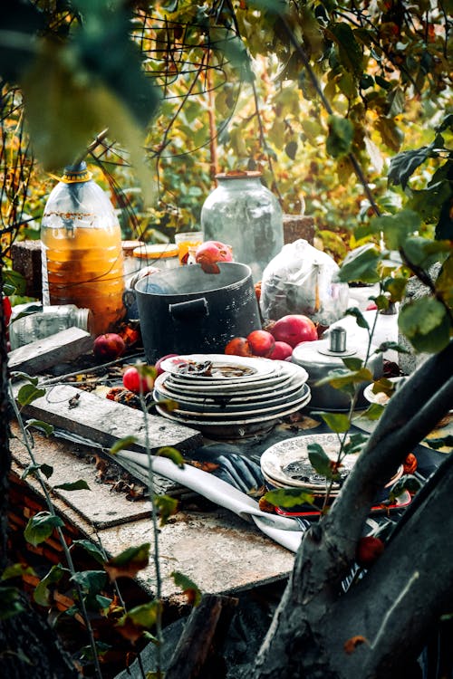 A cluttered outdoor scene with dirty dishes, pots, and scattered tableware amidst overgrown plants.