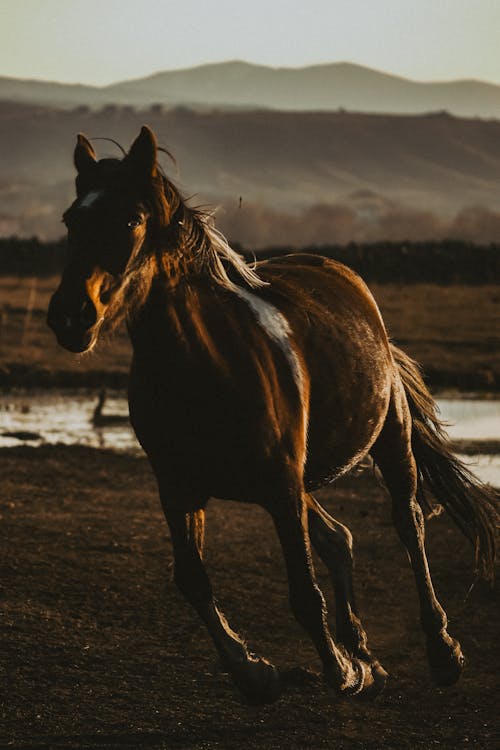 finish the year strong