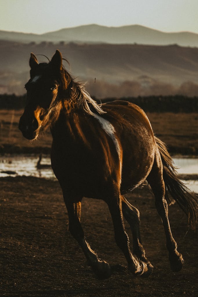 finish the year strong