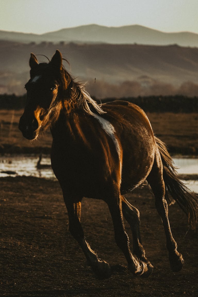 finish the year strong