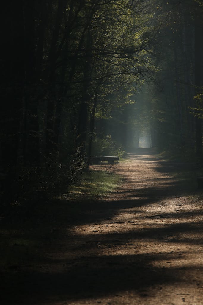 Mindfulness: A Path to Better Health and Well-Being