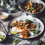 Thai chicken and eggplant panang curry
